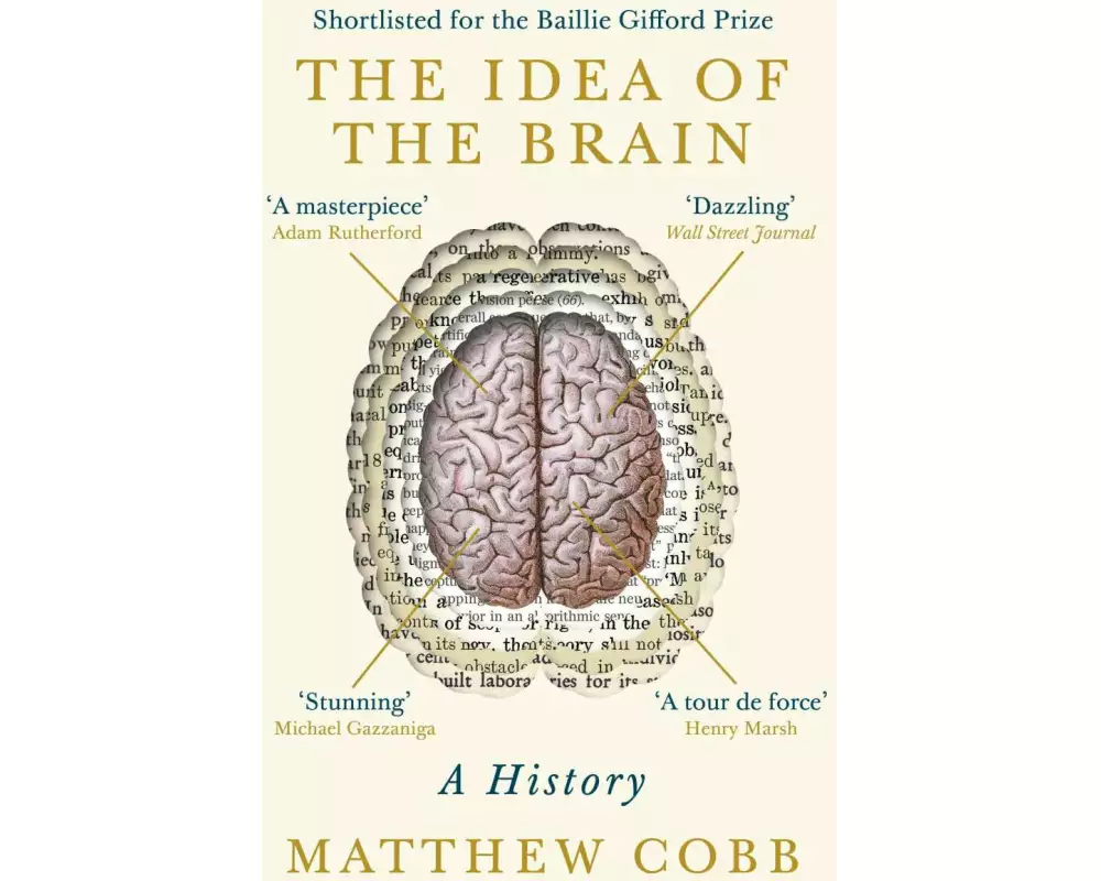 The Idea of the Brain