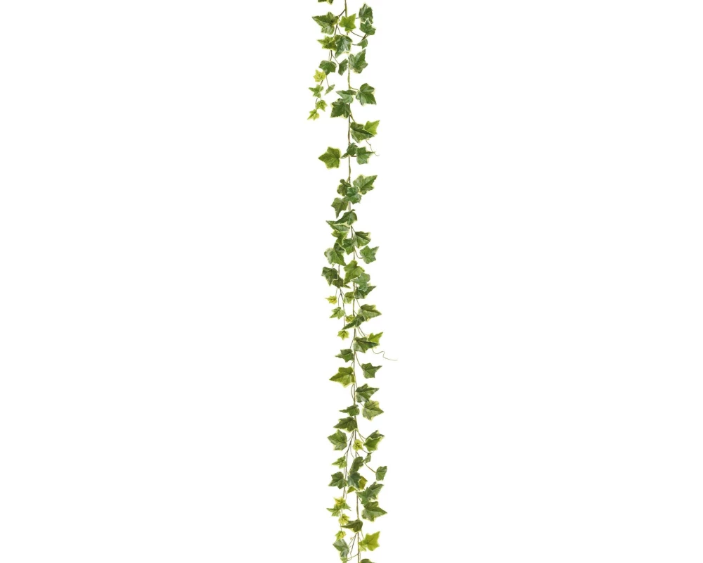 Botanic-Haus Efeugirlande Grün/Weiss 180 cm