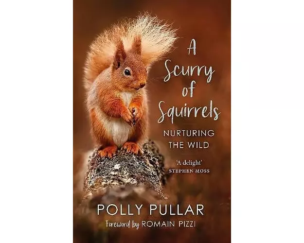 A Scurry of Squirrels