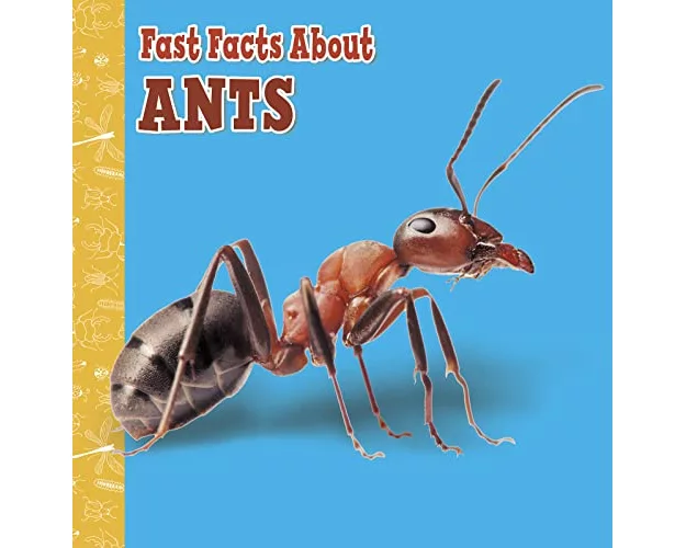 Fast Facts About Ants