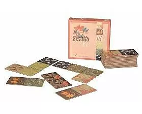 Domino Dschungel 28 Teile