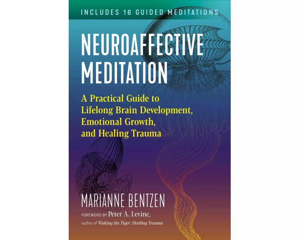 Neuroaffective Meditation
