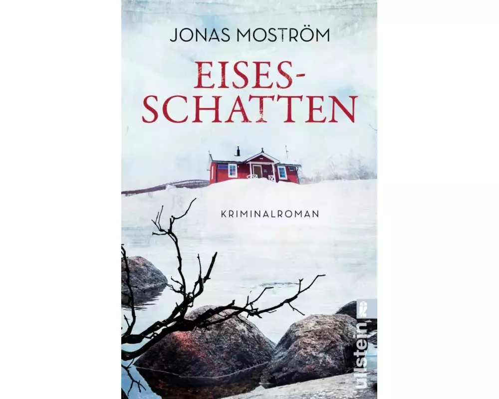 Eisesschatten (Ein Nathalie-Svensson-Krimi 5)