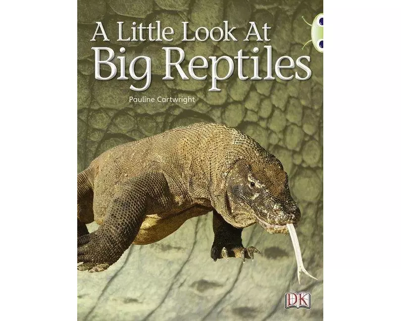 Bug Club Non-fiction Blue (KS1) B/1B A Little Look of Reptiles 6-pack