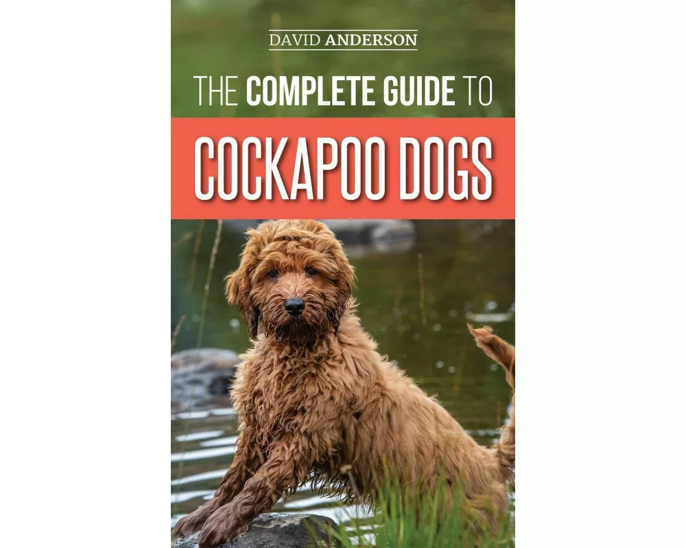 The Complete Guide to Cockapoo Dogs