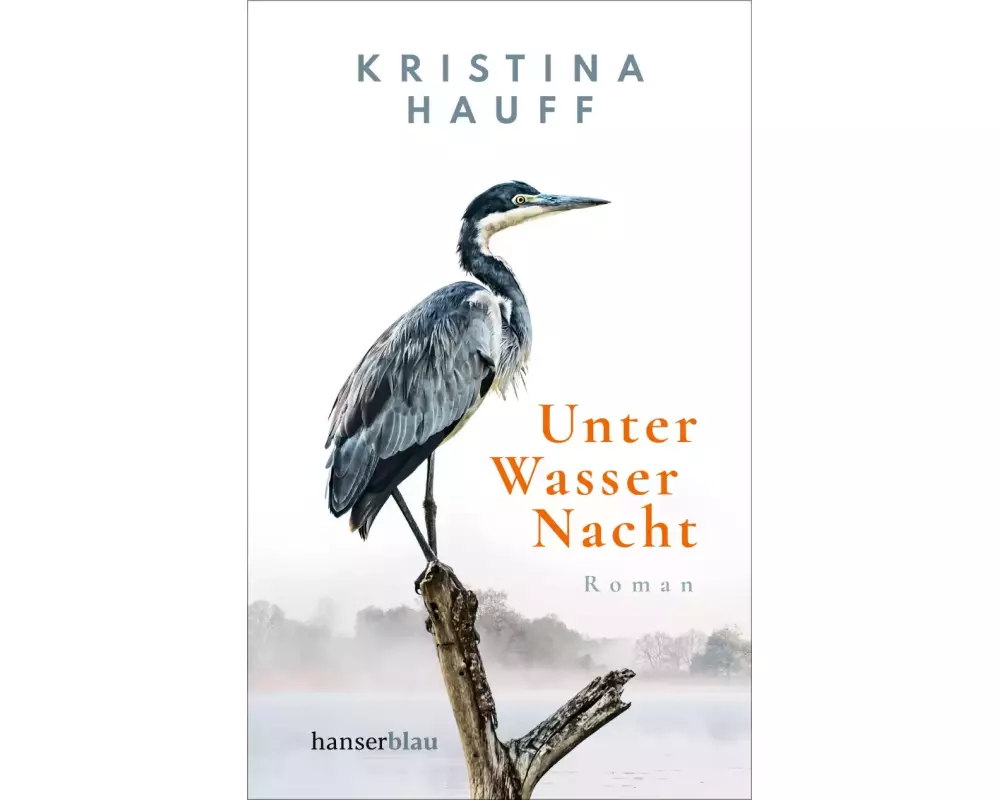 Unter Wasser Nacht