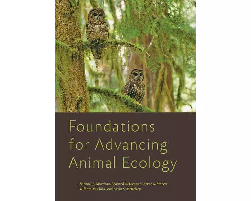 Foundations for Advancing Animal Ecology