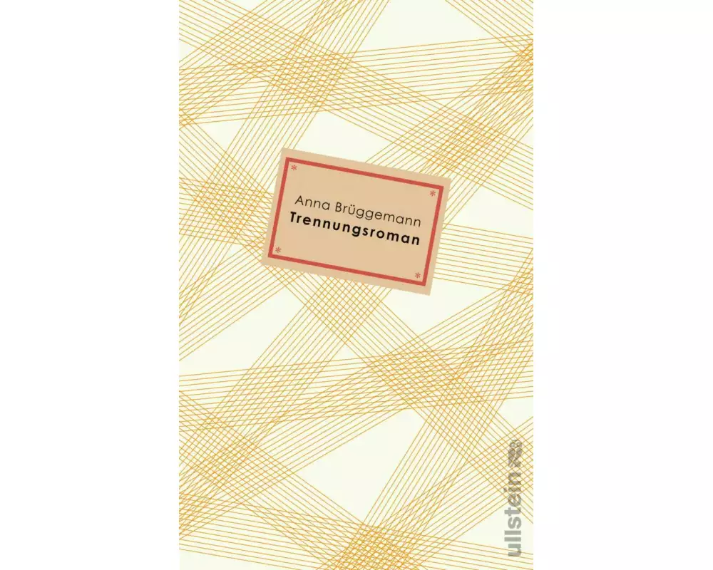 Trennungsroman