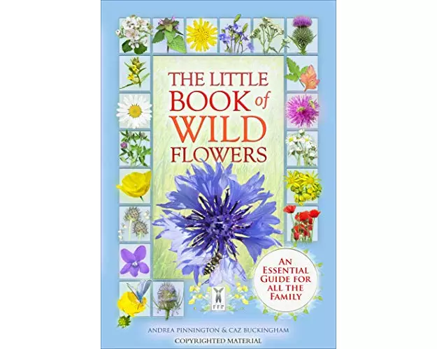 The Little Book of Wild Flowers