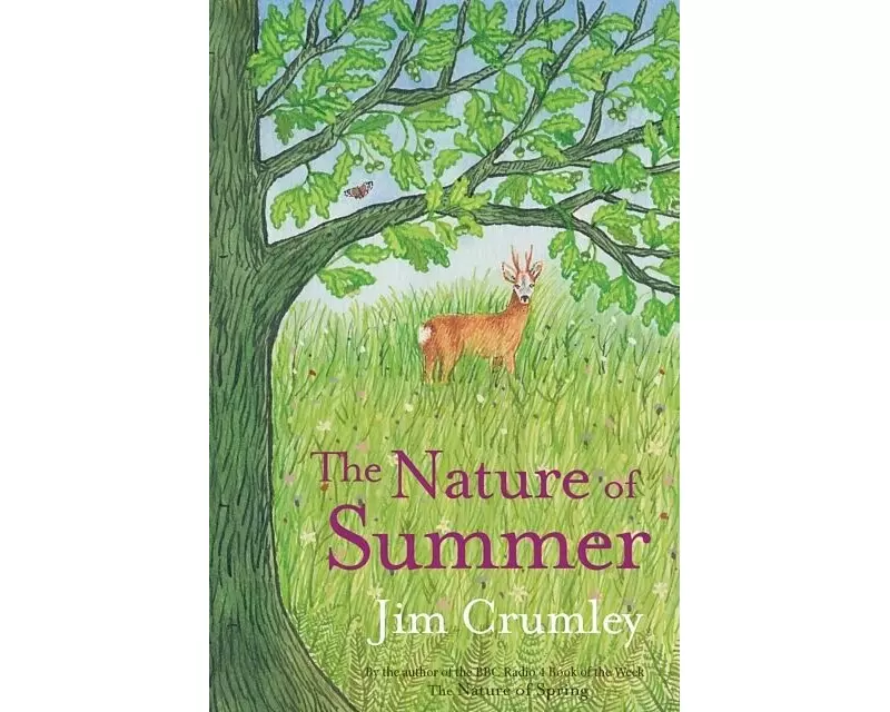 The Nature of Summer