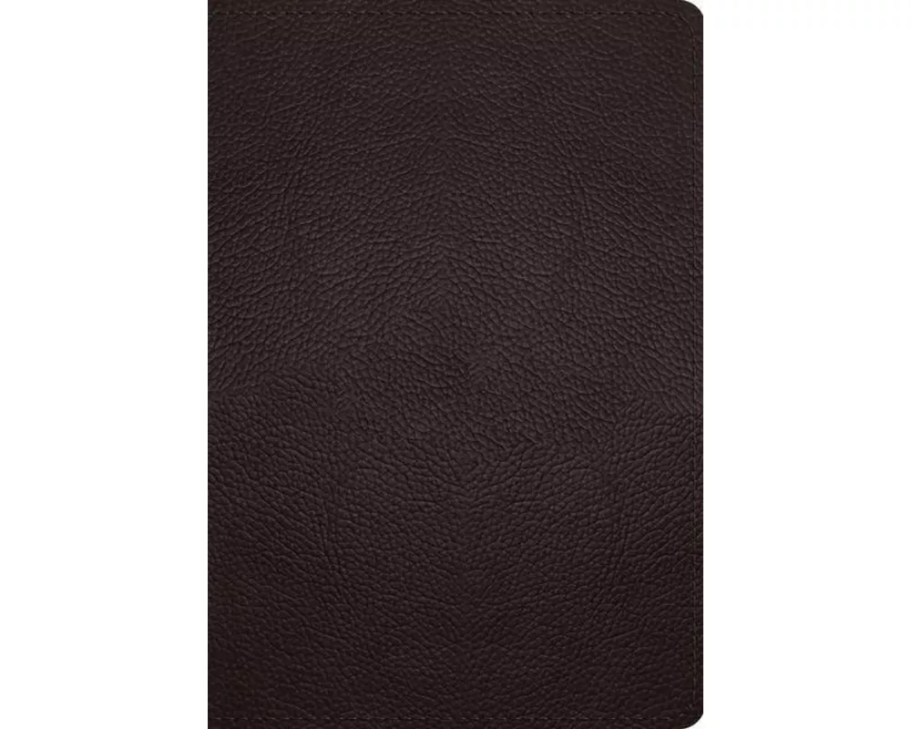 ESV Large Print Compact Bible, Red Letter