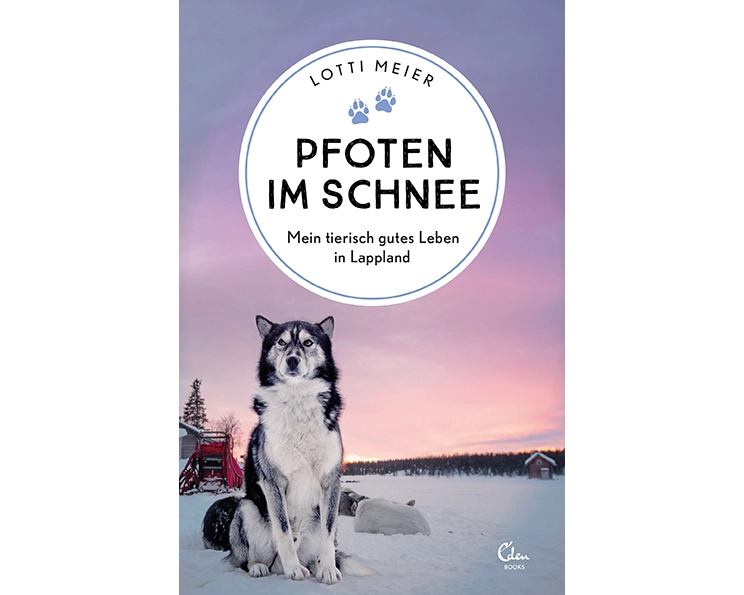 Pfoten im Schnee