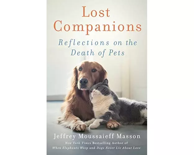 Lost Companions