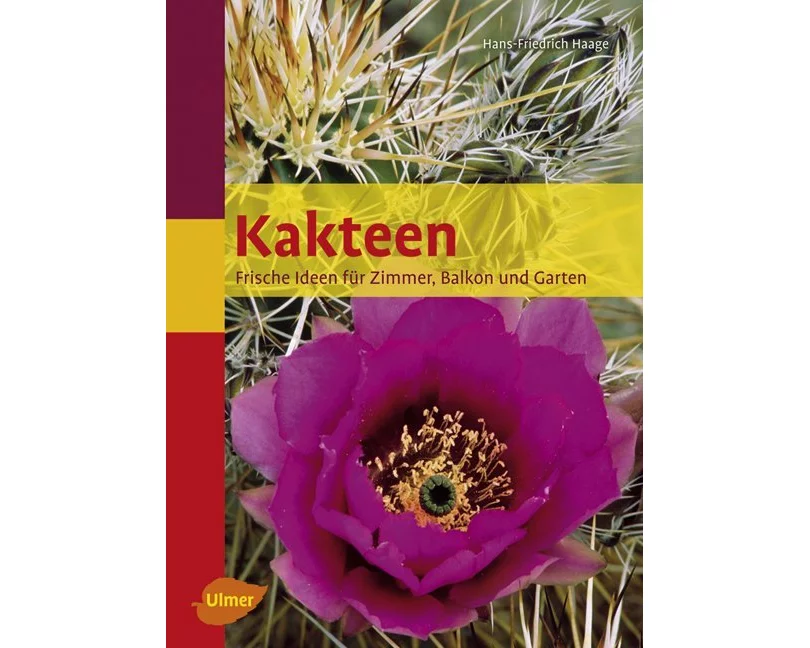 Kakteen