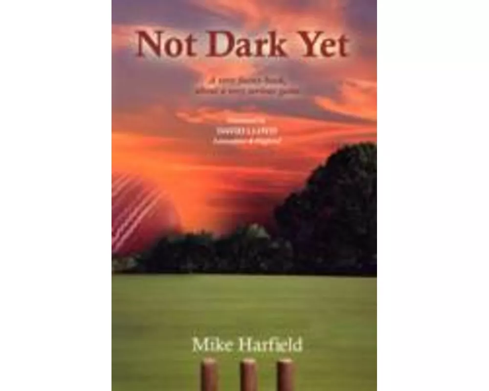 Not Dark Yet