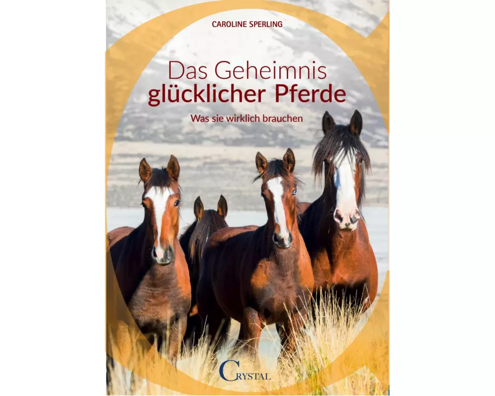 Das Geheimnis glücklicher Pferde