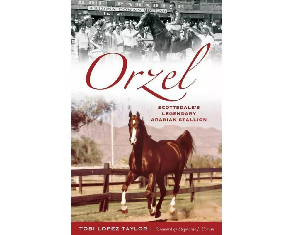 Orzel: Scottsdale's Legendary Arabian Stallion