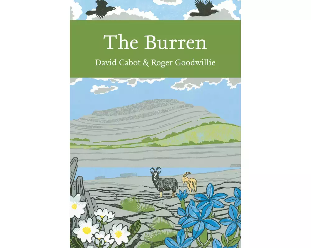 The Burren