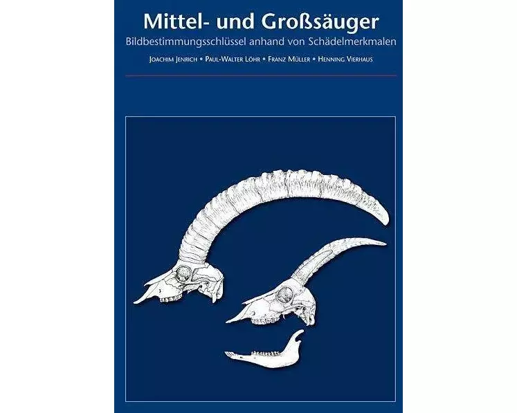 Mittel- und Großsäuger