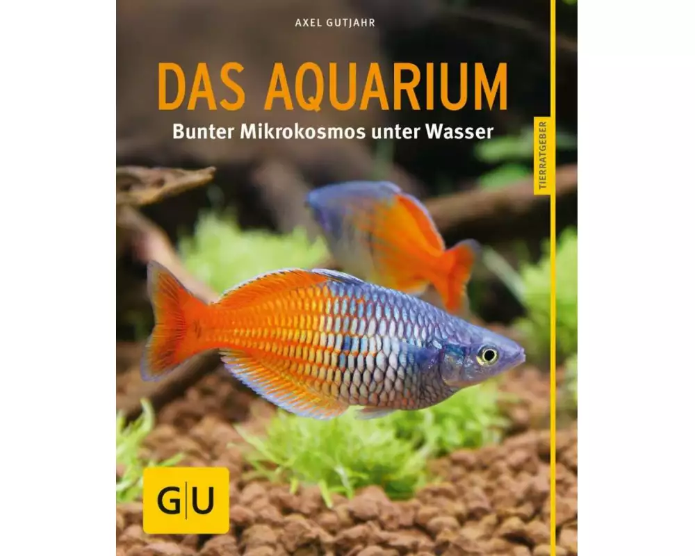 Das Aquarium