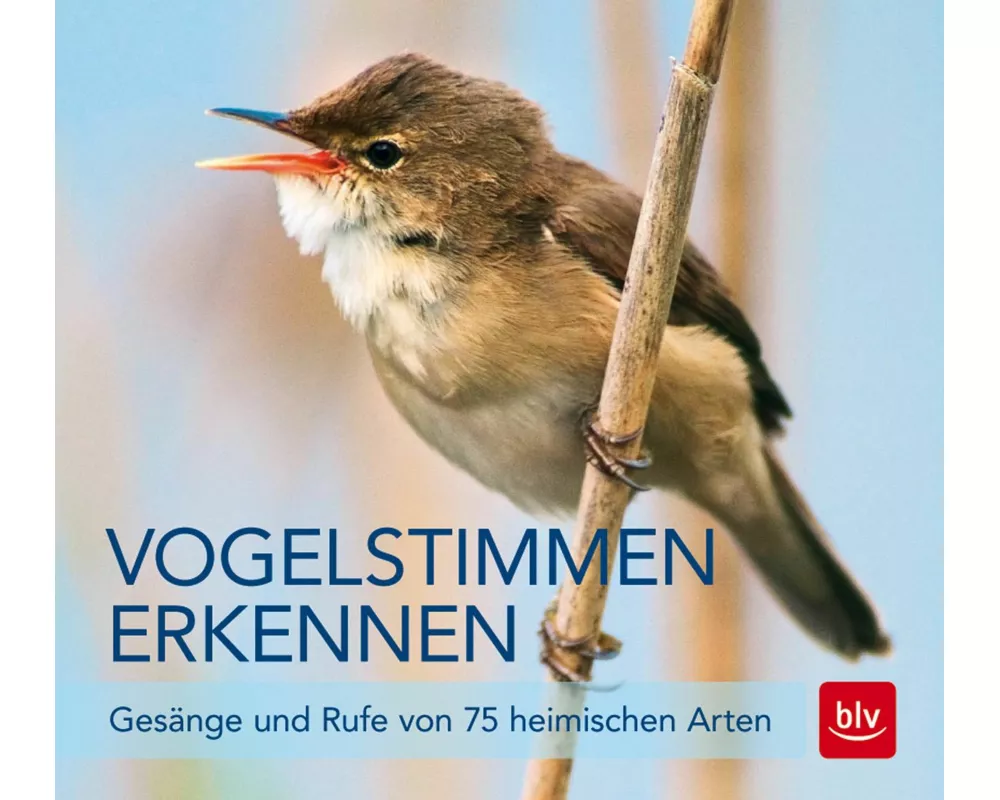Vogelstimmen erkennen / CD