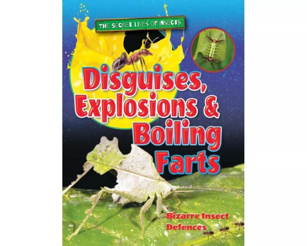 Disguises, Explosions and Boiling Farts