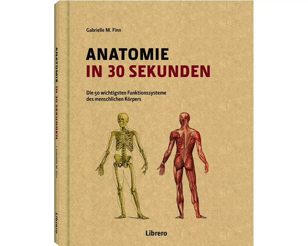 Anatomie in 30 Sekunden