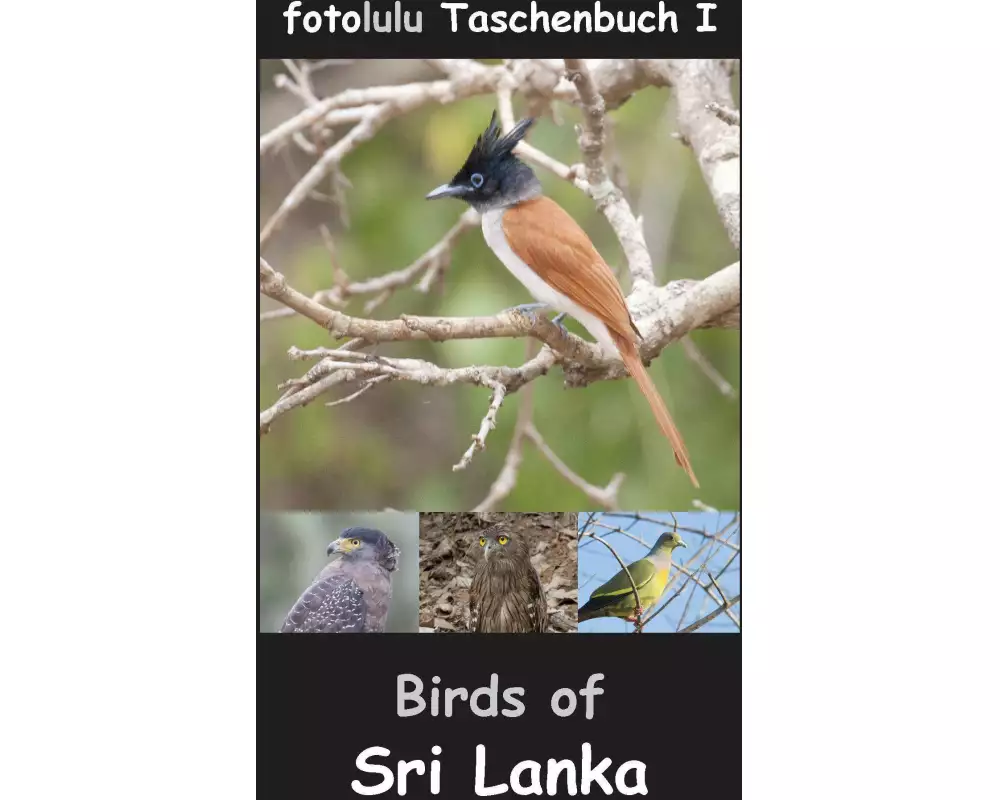 Birds of Sri Lanka