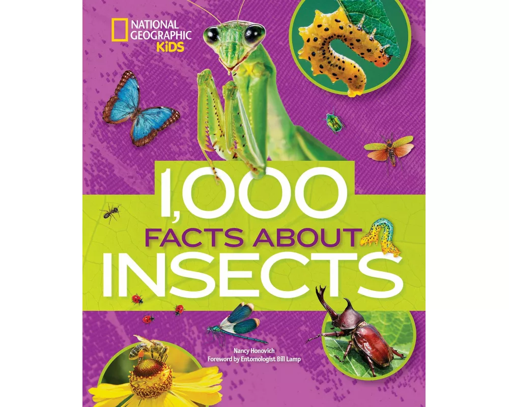 1,000 Facts About Insects