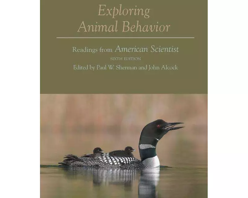 Exploring Animal Behavior