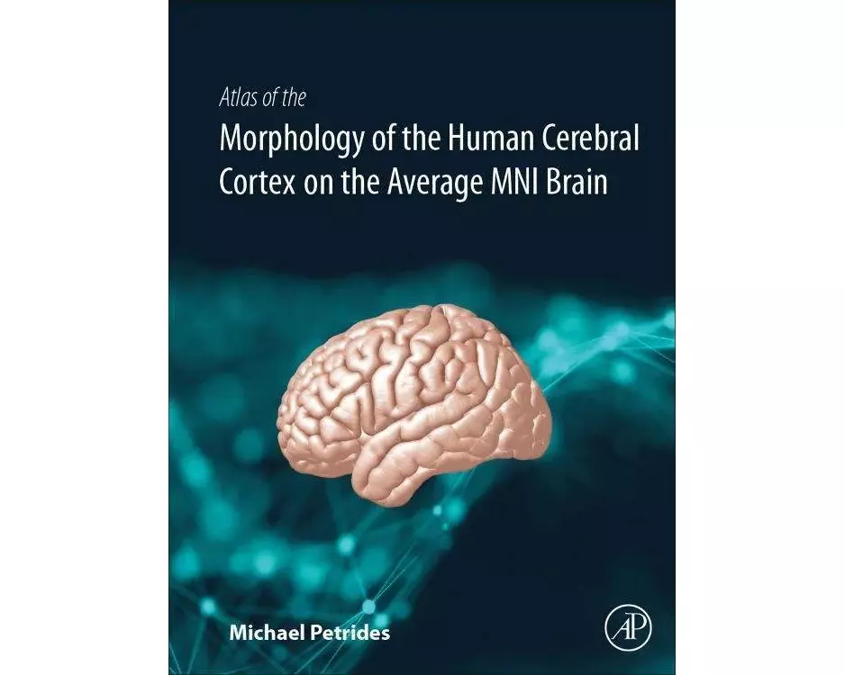 Atlas of the Morphology of the Human Cerebral Cortex on the Average MNI Brain