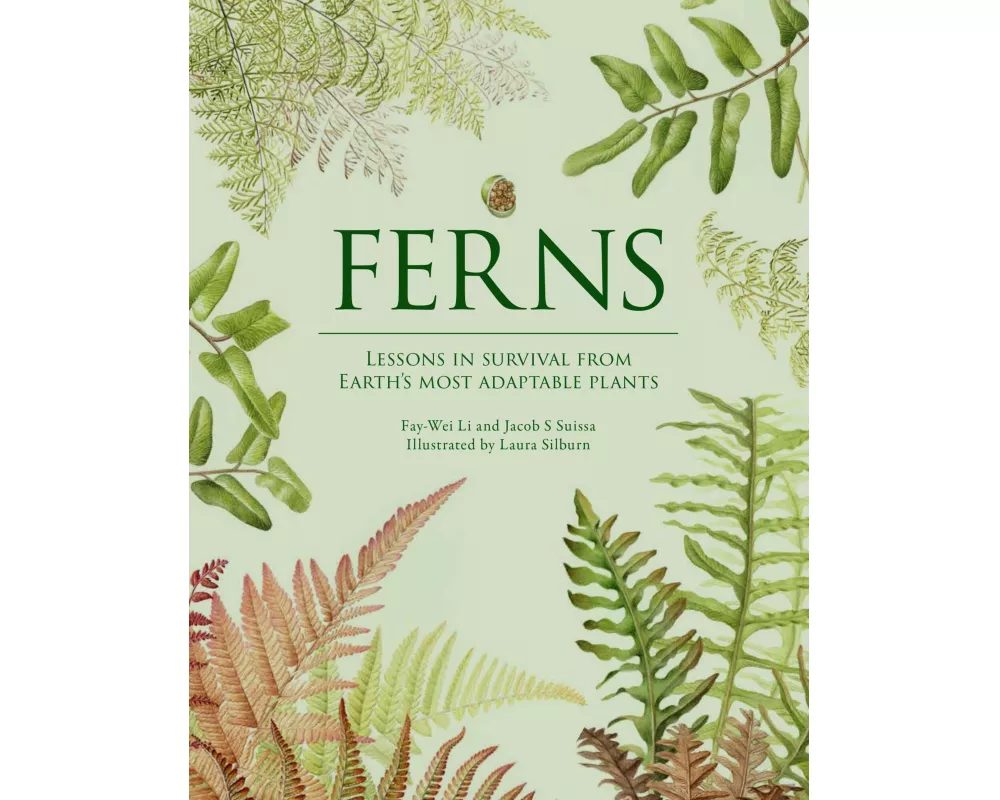 Ferns