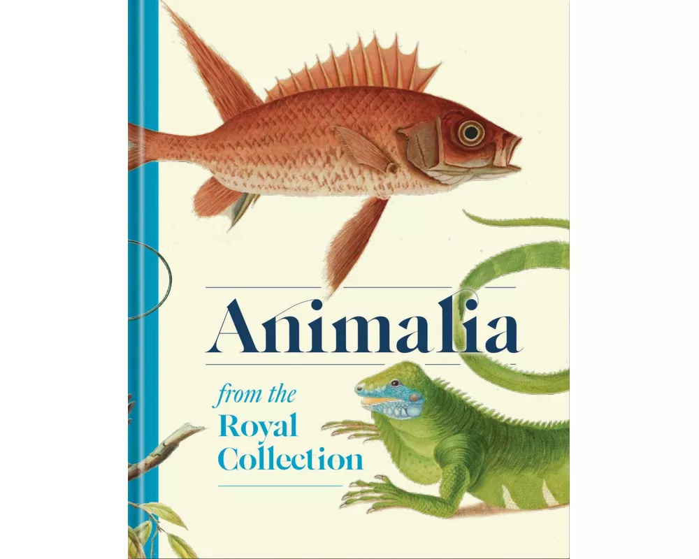 Animalia