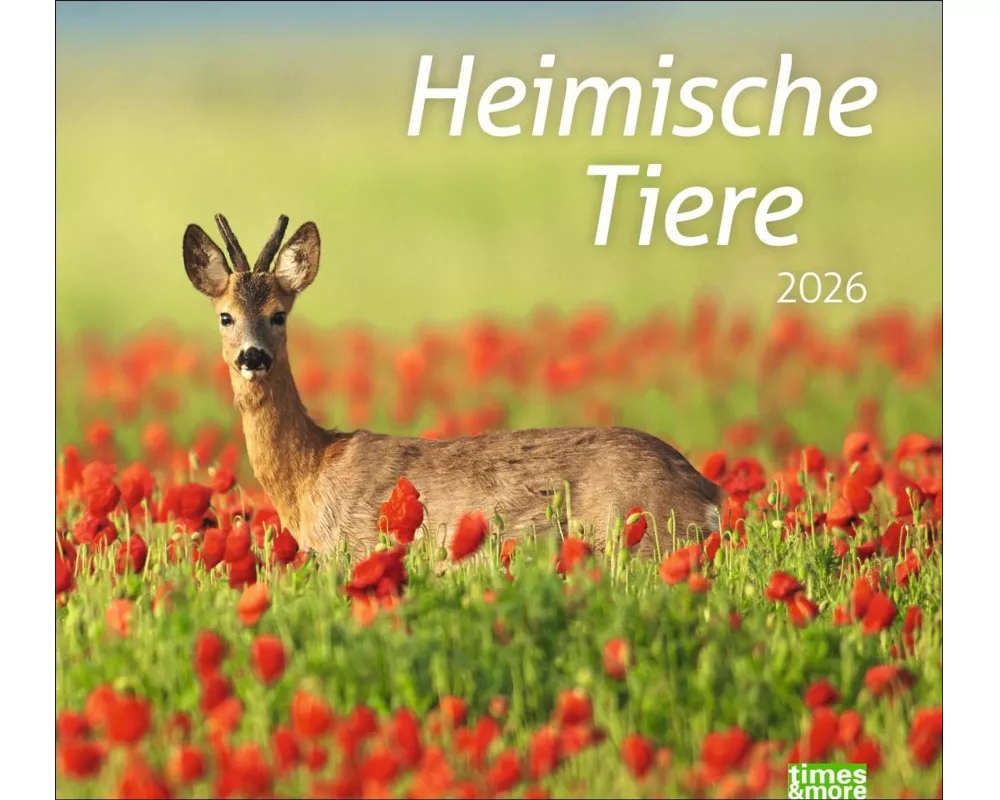 times&more Heimische Tiere Bildkalender 2026