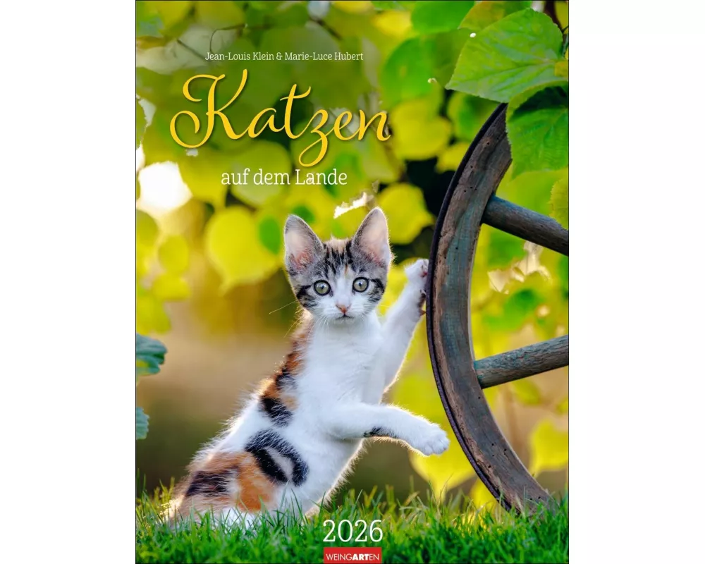 Katzen auf dem Lande Kalender 2026