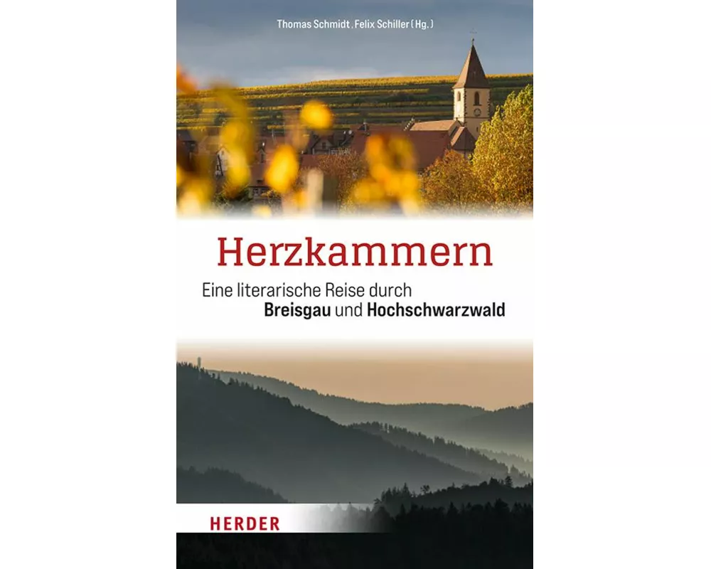 Herzkammern