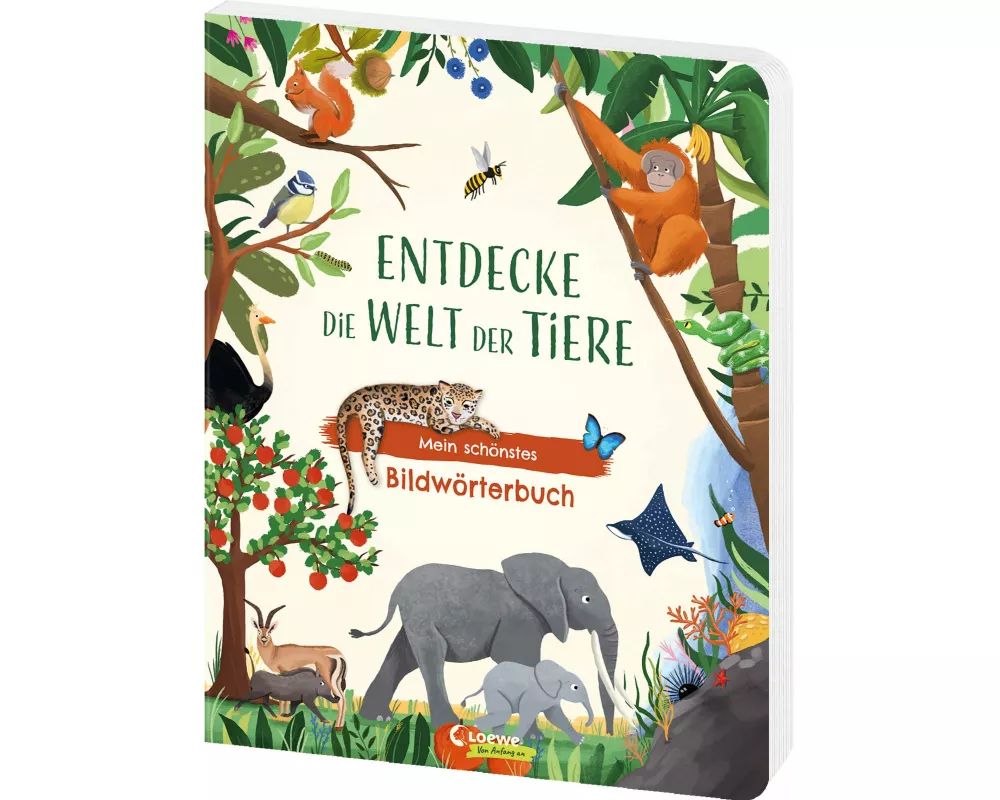 Entdecke die Welt der Tiere - Mein schönstes Bildwörterbuch