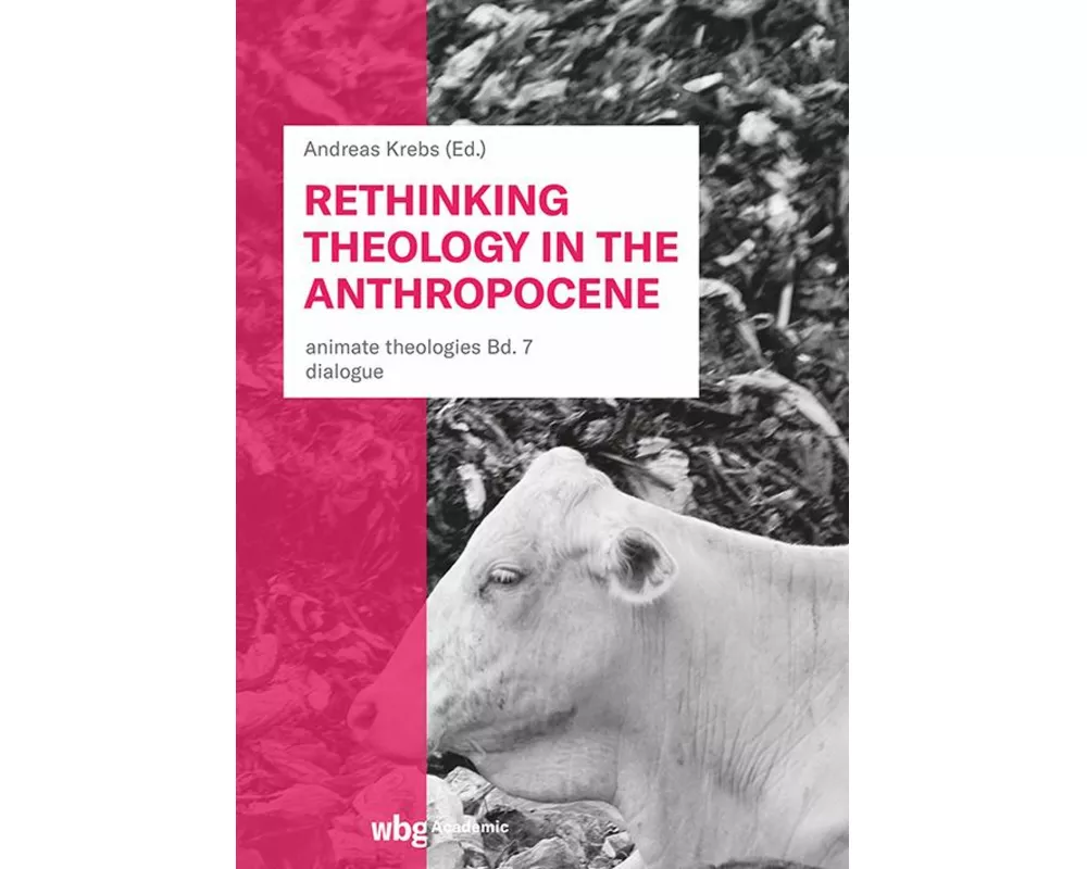 Rethinking Theology in the Anthropocene