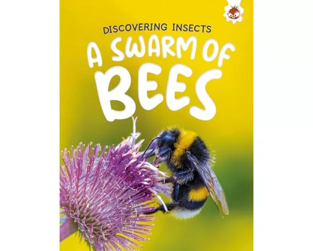Discovering Insects: A Swarm of Bees