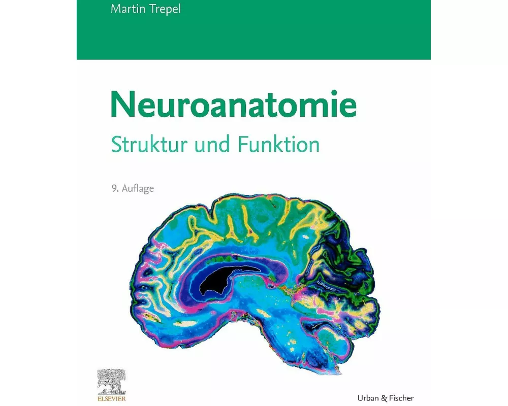 Neuroanatomie
