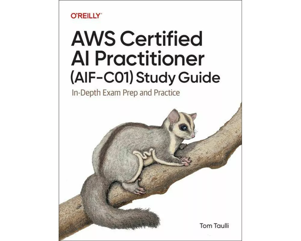 AWS Certified AI Practitioner (AIF-C01) Study Guide
