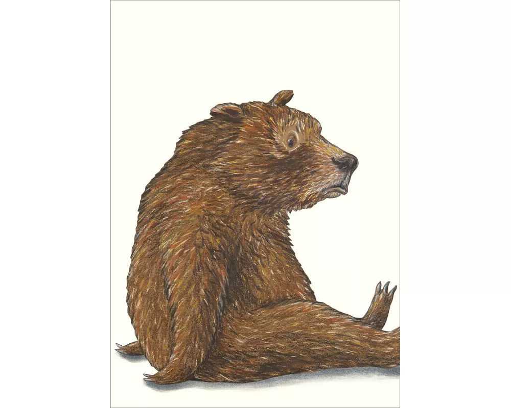 Sauerbär Postkarte VE 1 = 10