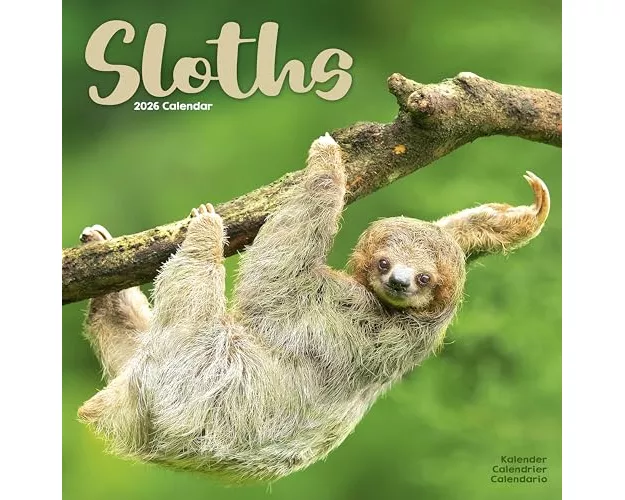 Sloths Calendar 2026 Square Animal Wall Calendar - 16 Month
