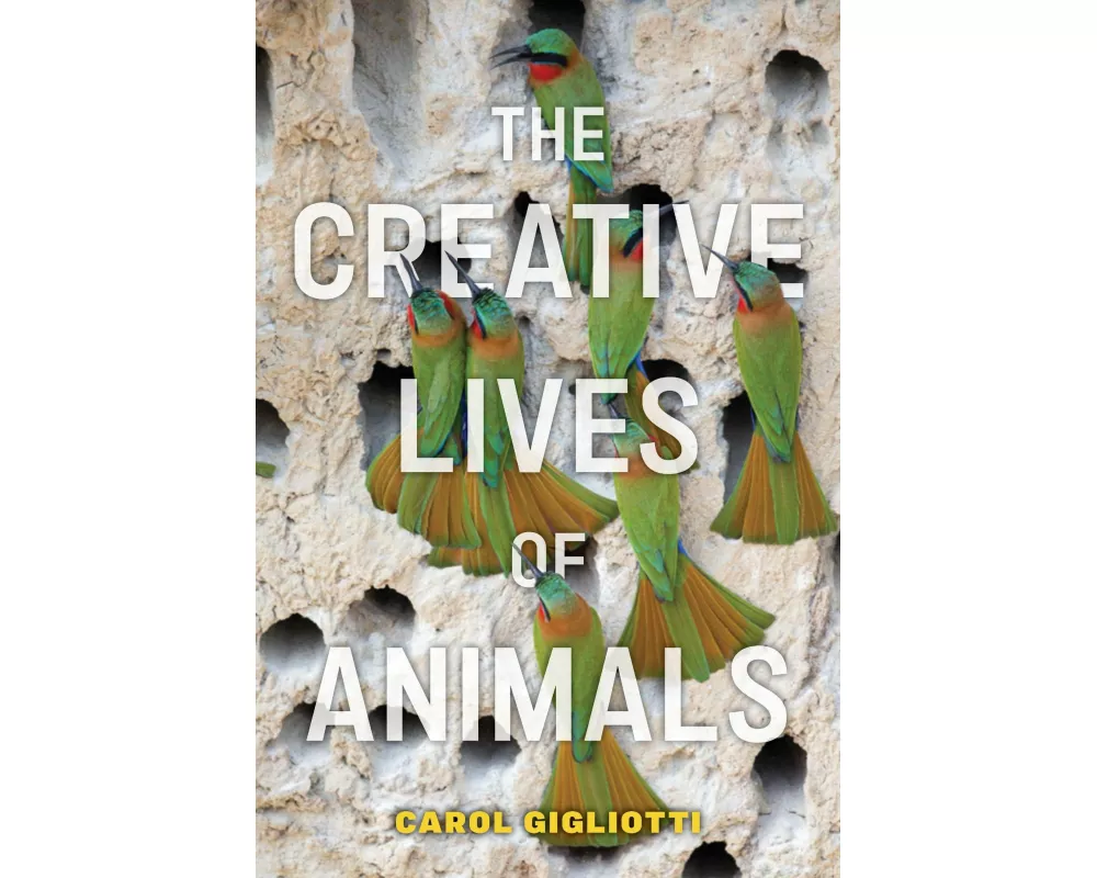 The Creative Lives of Animals