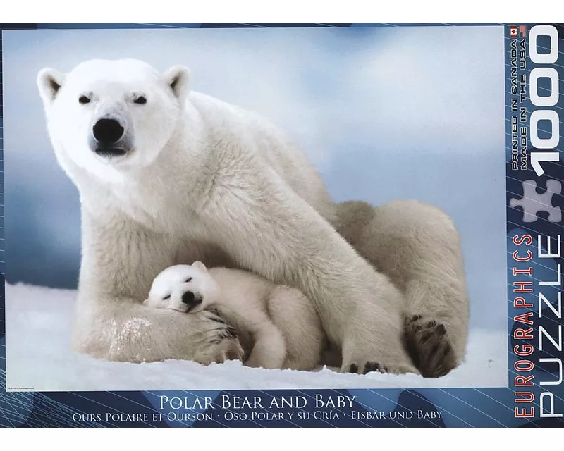Polar Bear & Baby