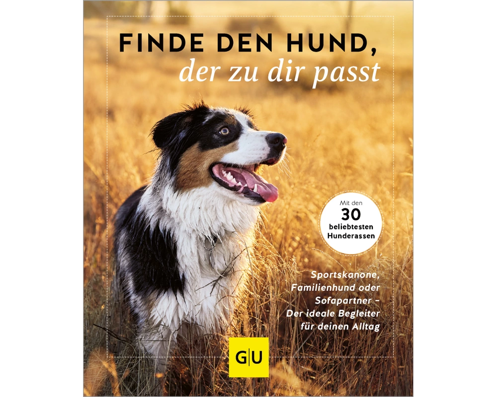 Finde den Hund, der zu dir passt
