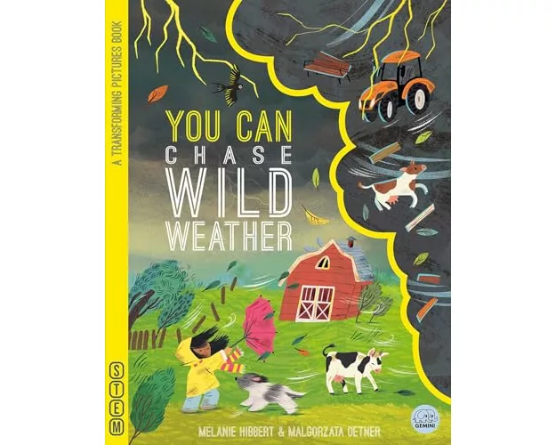 YOU CAN Chase Wild Weather