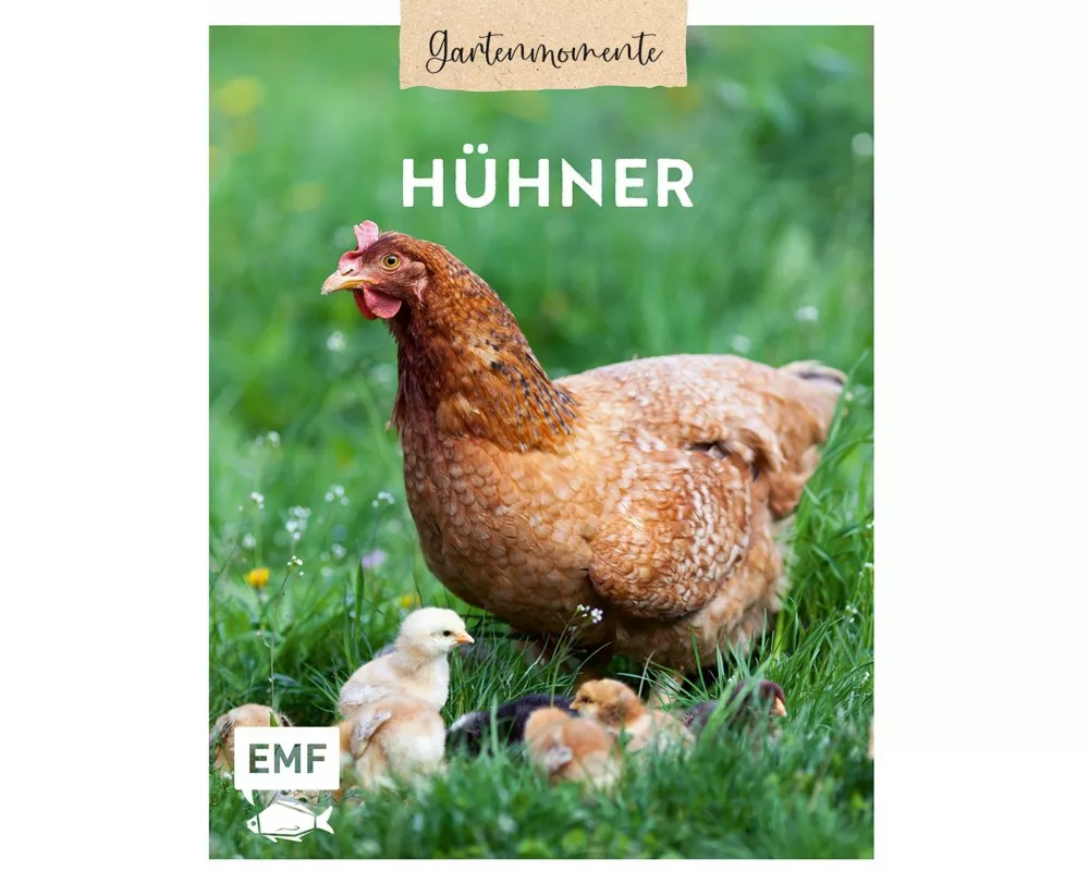 Gartenmomente: Hühner