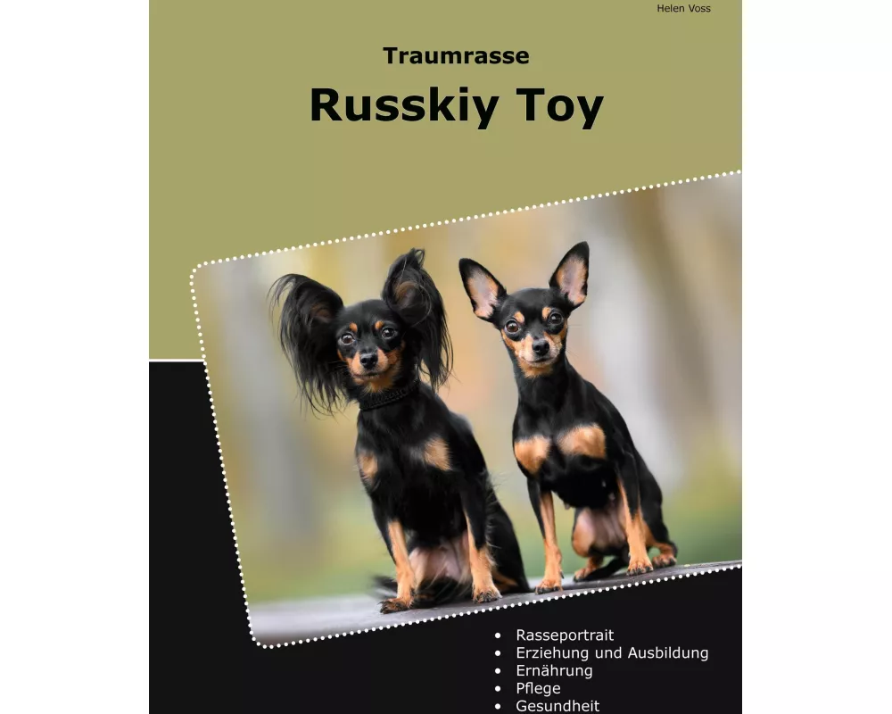Traumrasse Russkiy Toy