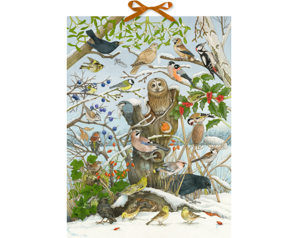 COPPENRATH Sound Adventskalender 95250 Unsere Vögel im Winter